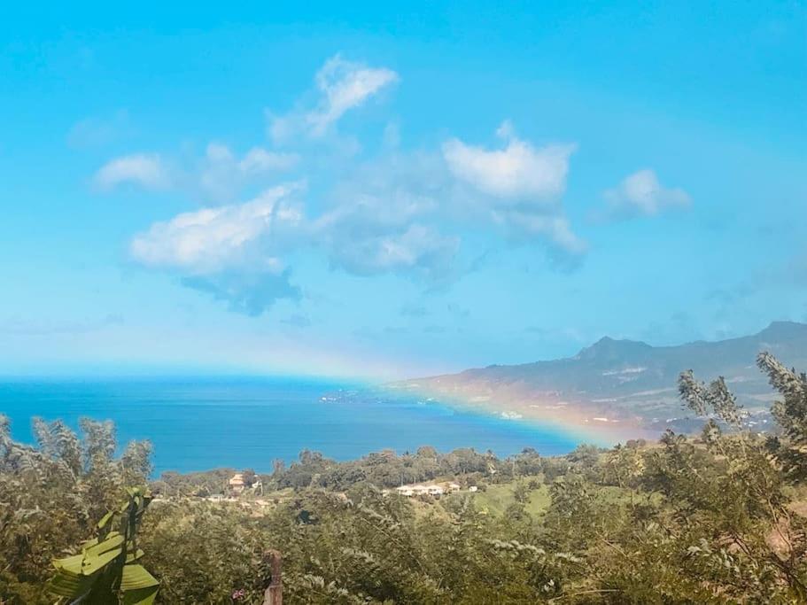 Bungalow Avec Vue Dans Lieu Calme Le Carbet Bagian luar foto