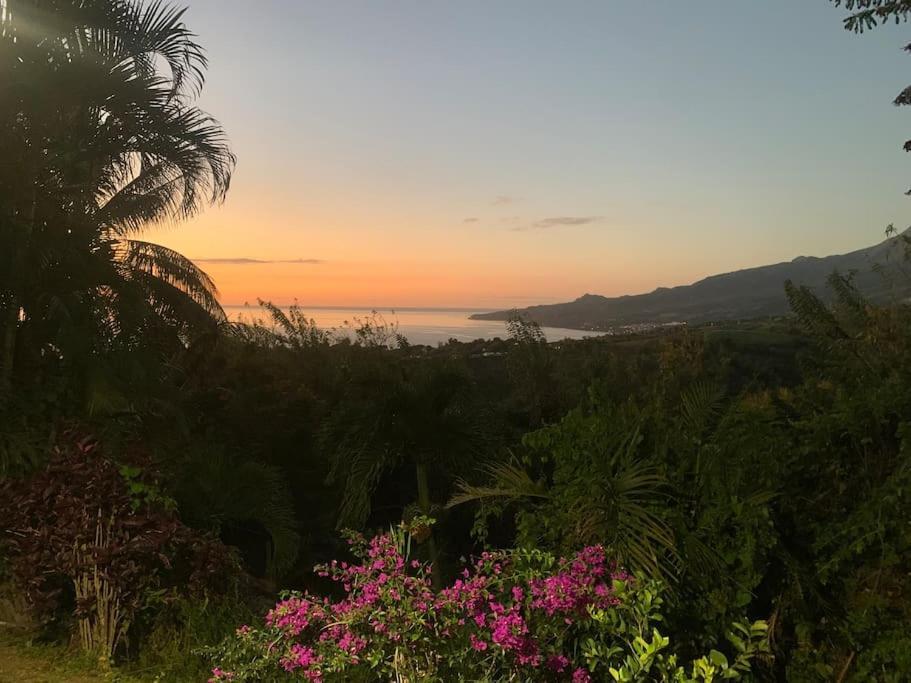 Bungalow Avec Vue Dans Lieu Calme Le Carbet Bagian luar foto