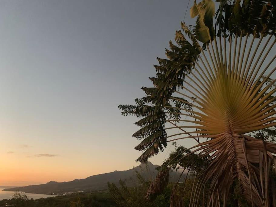 Bungalow Avec Vue Dans Lieu Calme Le Carbet Bagian luar foto