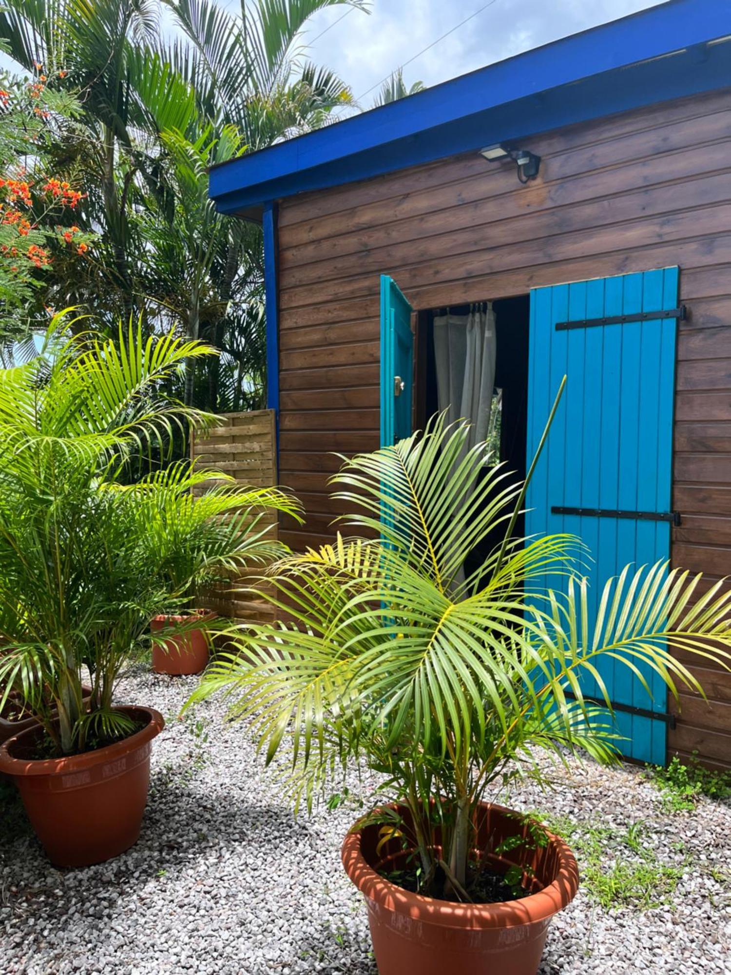 Bungalow Avec Vue Dans Lieu Calme Le Carbet Bagian luar foto